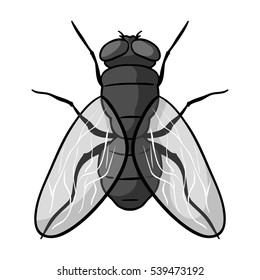 Fly icon in monochrome style isolated on white background. Insects symbol stock vector illustration.