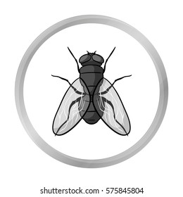 Fly icon in monochrome style isolated on white background. Insects symbol stock vector illustration.