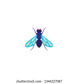 fly icon on a white background