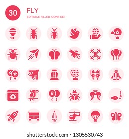 fly icon set. Collection of 30 filled fly icons included Hot air balloon, Beetle, Insect, Dove, World, Paper plane, Butterfly, Airplane, Drone, Balloon, Seat, Globe, Jet pack