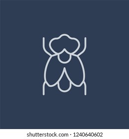 Fly icon. Trendy flat vector line Fly icon on dark blue background from animals  collection. 