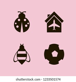 fly icon. fly vector icons set ladybug, bee, plane hangar and football ball