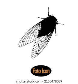 Fly icon. Vector illustration eps10