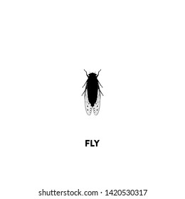 fly icon vector. fly sign on white background. fly icon for web and app