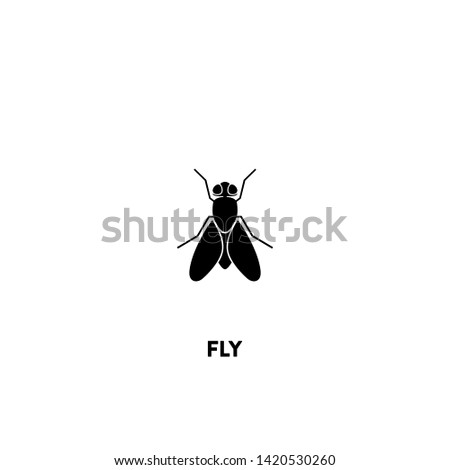 fly icon vector. fly sign on white background. fly icon for web and app