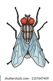 Fly illustration, doodle, cartoon, drawing, ink, line art, vector