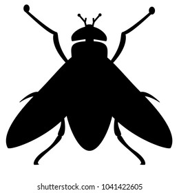 Fly, insect (black outline, vector)