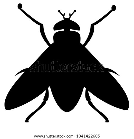 Fly, insect (black outline, vector)