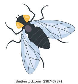 Fly insect bug isolated concept. Vector flat graphic design illustration