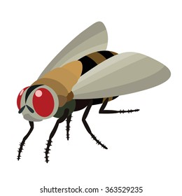 fly insect cartoon vector