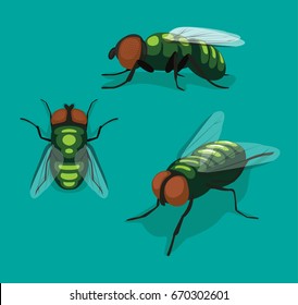 Fly Insect Cartoon Vector Illustration