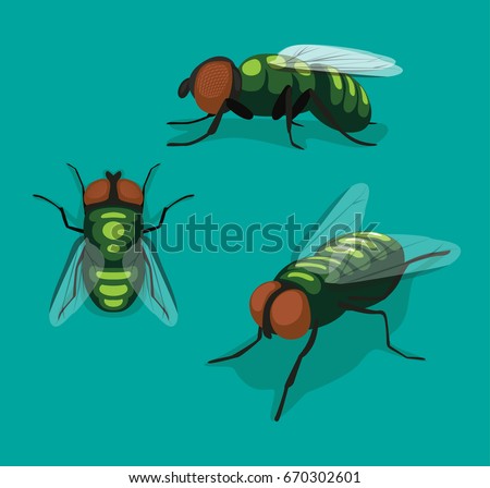 Fly Insect Cartoon Vector Illustration