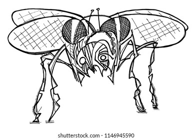 Fly Insect Coloring Page Stock Vector (Royalty Free) 1146945590