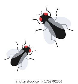 Fly insect flat vector icon illustration isolated on white