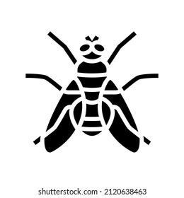 fly insect glyph icon vector. fly insect sign. isolated contour symbol black illustration