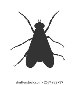 Fly insect graphic icon. Fly sign isolated on white background. Vector illustration