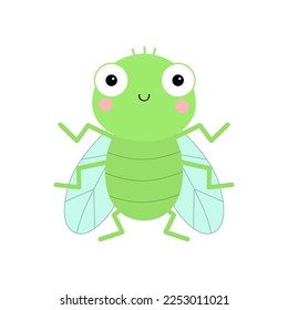 Fly insect icon. Green housefly flying standing bug. Baby kids collection. Transparent wings. Cute cartoon kawaii funny character. Smiling face. Flat design. White background. Vector illustration