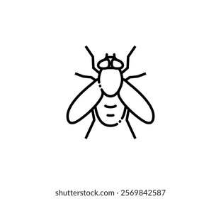 Fly insect icon in line design. Fly, insect, wings, pest, bug, airborne, anatomy on white background vector. editable stroke icon