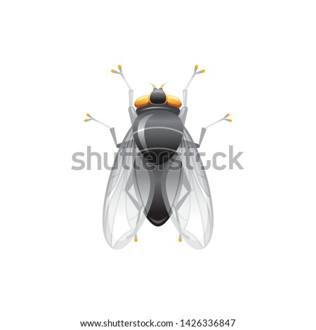 Fly insect icon. Live house fly. 3d realistic insect. Vector illustration isolated on white background. Housefly animal symbol. Macro style for logo design, education banner.