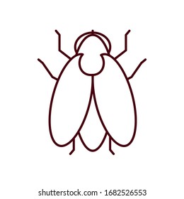 fly insect icon over white background, line style, vector illustration