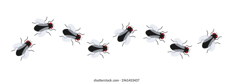 Fly insect icon set. Small flies line way. Vector isolated on white background.