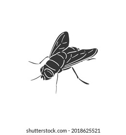 Fly Insect Icon Silhouette Illustration. Bug Animal Vector Graphic Pictogram Symbol Clip Art. Doodle Sketch Black Sign.