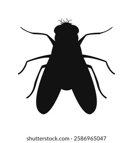Fly insect icon silhouette on White Background. Vector illustration