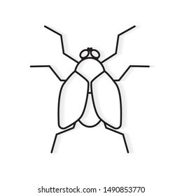 fly insect icon- vector illustration