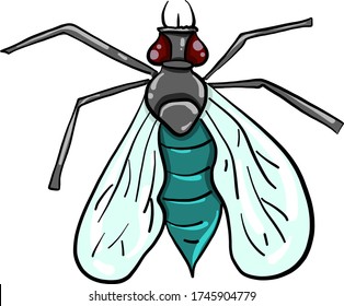 Fly insect , illustration, vector on white background