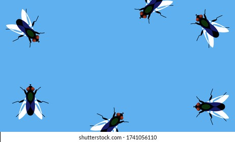 Fly insect. Many fruit flies on blue with empty space in center. Blackfly crawl along the border. Template for banner, statement, warning, announcement.