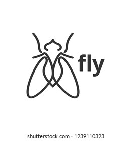 Fly insect outline graphic design template vector illustration