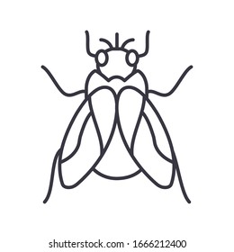 fly insect over white background, line detail style icon, vector illustration