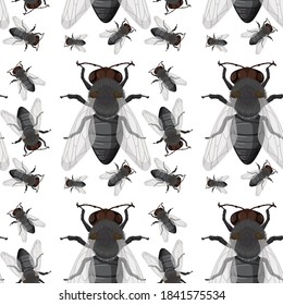Fly insect seamless background illustration