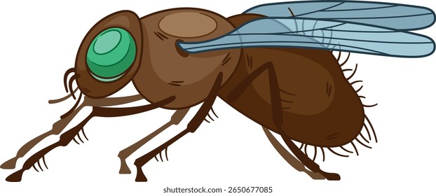 Fly insect side view vector illustration