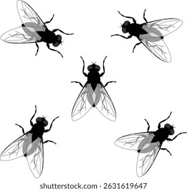 Fly insect symbol icon 5