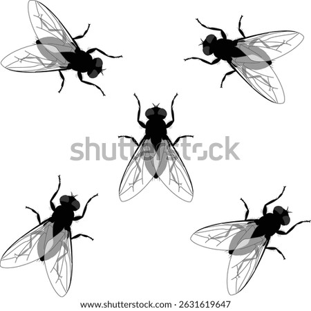 Fly insect symbol icon 5