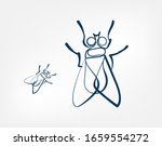 fly insect vector art line isolated doodle illustration