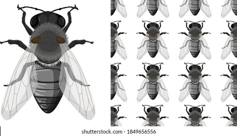 Fly insects isolated on white background and seamless illustration