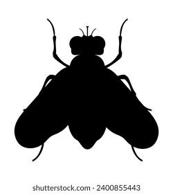 fly insects wildlife animals vector illustration isolated on white background
