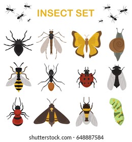 Fly insects wildlife entomology pterygots bug hexapod animal nature beetle biology buzz icon vector illustration