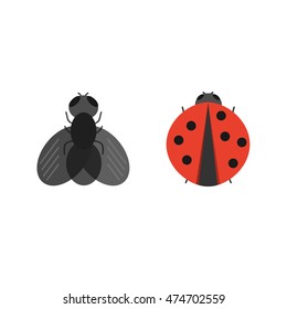 Fly and ladybug. Flying insect icons. Vector flat illustration on white background