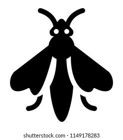 
A fly like insect bird with antennas on head, moth 
