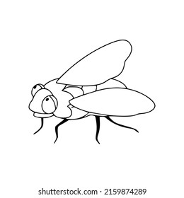 Fly linear icon. Flying insect with wings Vector black and white illustration isolated on white background