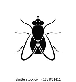 Fly logo. Isolated fly on white background