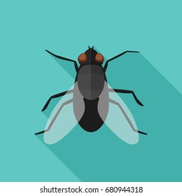 Fly with long shadow. Vector banner with housefly.