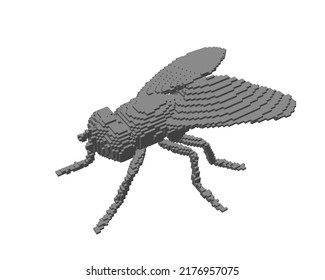Fly made from cubes. Voxel art. Futuristic concept. 3d Vector illustration.