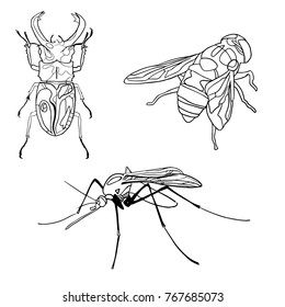 Fly, mosquito and the bug vector illustration black and white