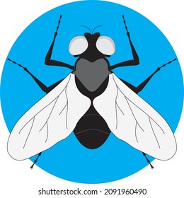 Mosquito mosquito Simple Icono Volador Biología Animal Naturaleza Vector Fauna Aislado en Blanco
