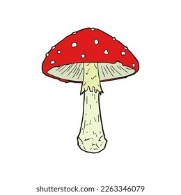 Fly mushroom. Amanita muscaria. Vector illustration. Sketch.