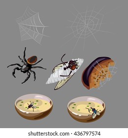 A fly on a bowl of soup and a hungry spider. Vector.